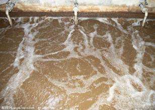 污水第三方檢測報告 污水第三方檢測報告