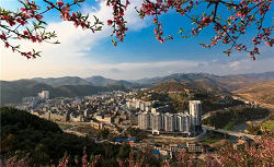 西林環境檢測機構